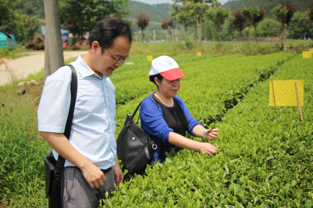 教师进农户，理论下基层——UG环球360官方网站全体党员教师赴英山县乌云山村学习调研